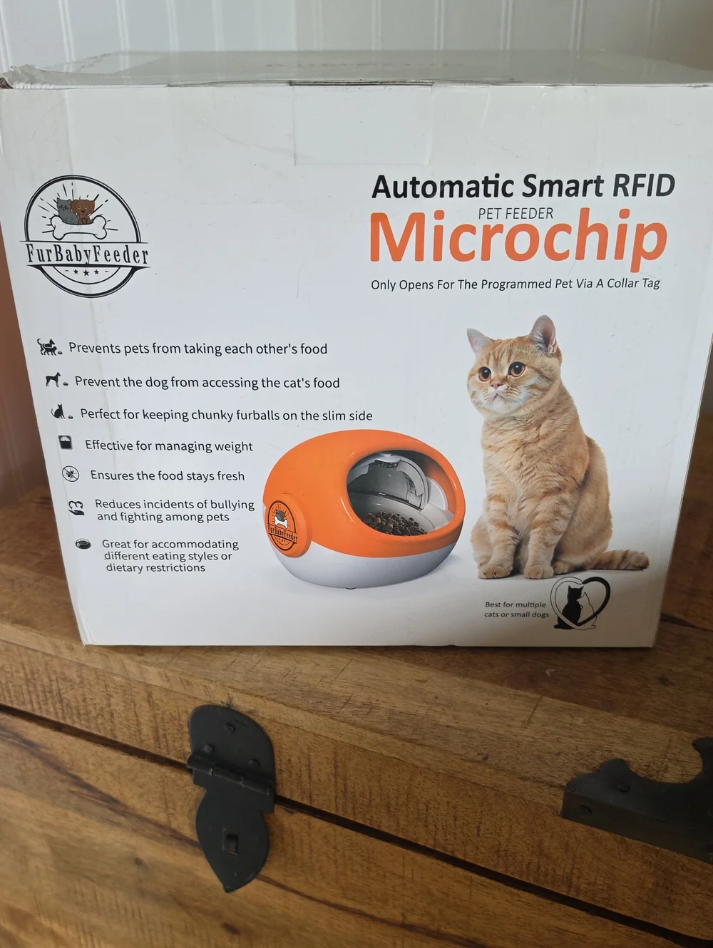 Orange Automatic Smart RFID Microchip Cat Feeder